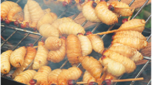 Giải m&atilde; giấc mơ thấy d&ograve;i