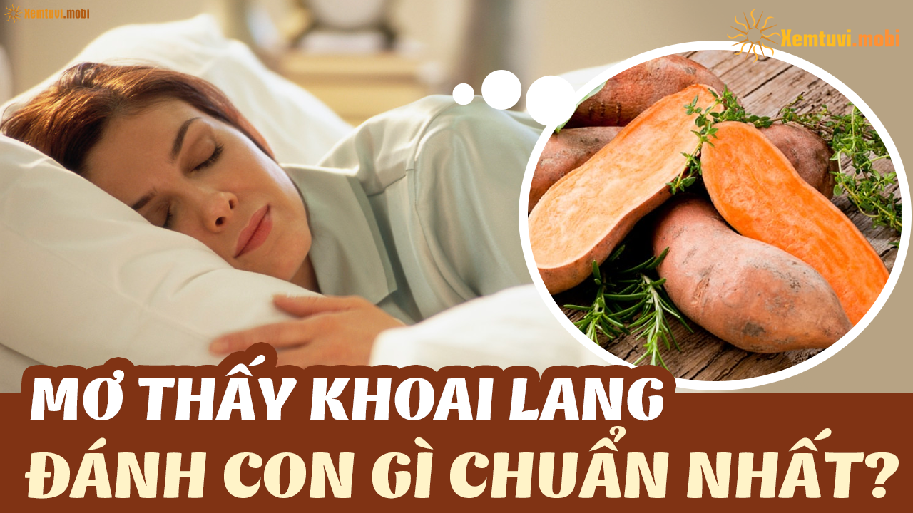 Nằm mơ thấy khoai lang đ&aacute;nh đề con g&igrave;?