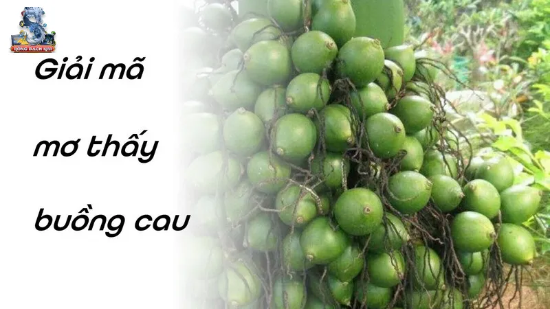 Giải mã về việc mơ thấy buồng cau cực dễ hiểu