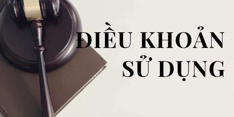 Th&ocirc;ng tin chung về điều khoản sử dụng của Rongbachkim.me