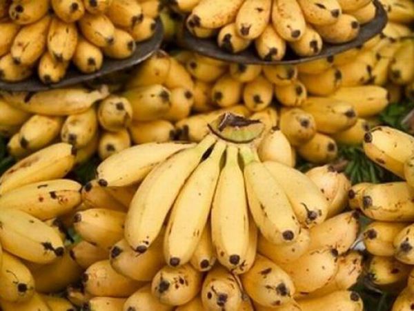 Giải m&atilde; giấc mơ thấy buồng chuối ch&iacute;n