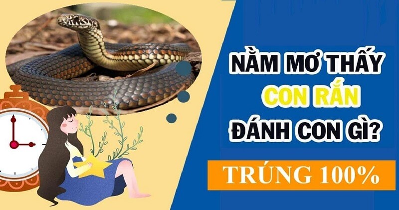 Giải mã giấc chiêm bao thấy giết rắn lành hay dữ?