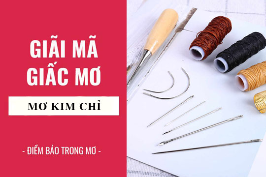 Giải m&atilde; giấc mơ thấy kim chỉ