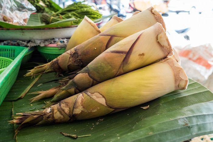 Nằm mơ thấy đi h&aacute;i măng đ&aacute;nh đề con g&igrave;?