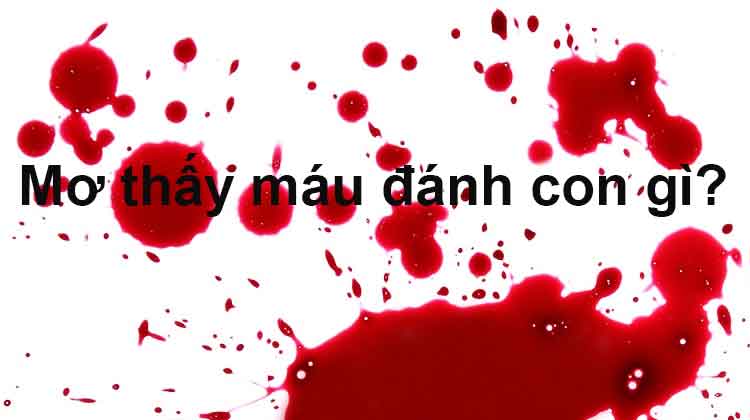 Nằm mơ thấy m&aacute;u đ&aacute;nh đề con g&igrave;?