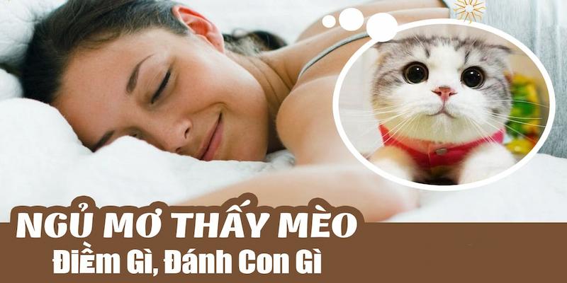 Tìm hiểu chi tiết về việc bạn gặp giấc mơ thấy mèo con