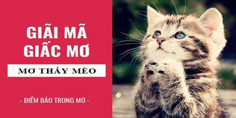 Ngủ mơ gặp đàn mèo con