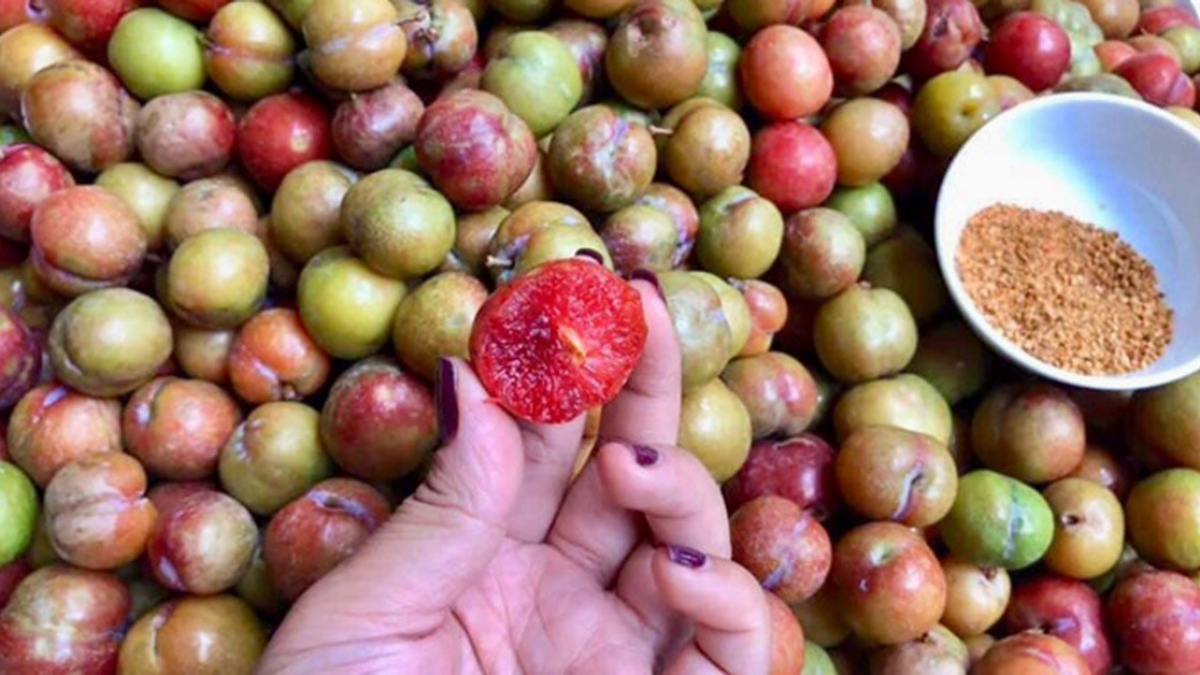 Mơ thấy quả mận c&oacute; &yacute; nghĩa g&igrave;?