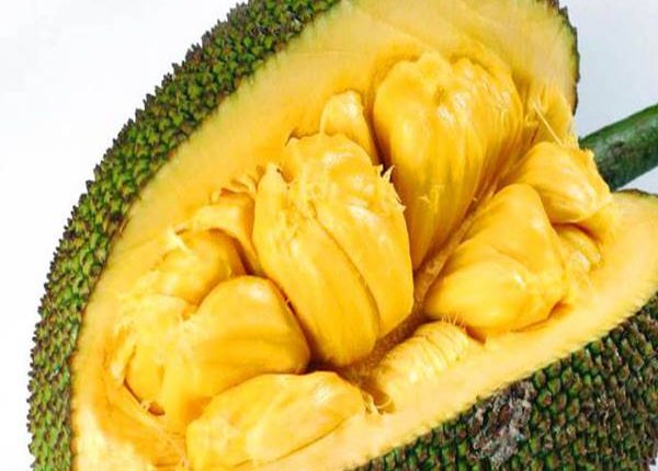 Nằm mơ thấy quả mít đánh đề con gì?