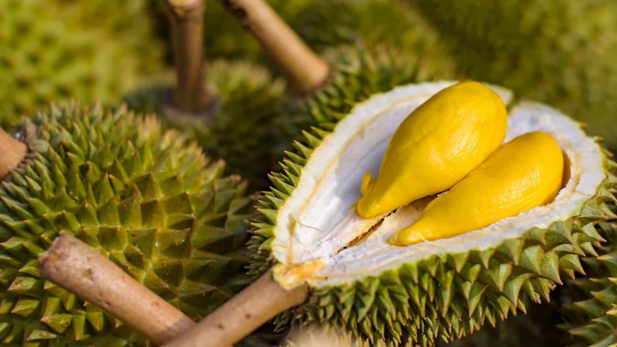 Giải m&atilde; giấc mơ thấy quả sầu ri&ecirc;ng