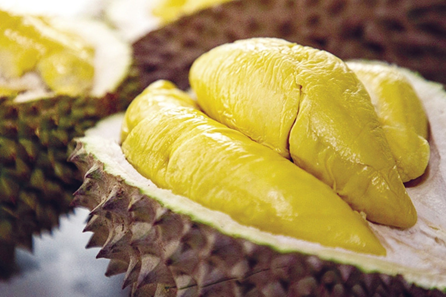 Nằm mơ thấy sầu ri&ecirc;ng đ&aacute;nh đề con g&igrave;?