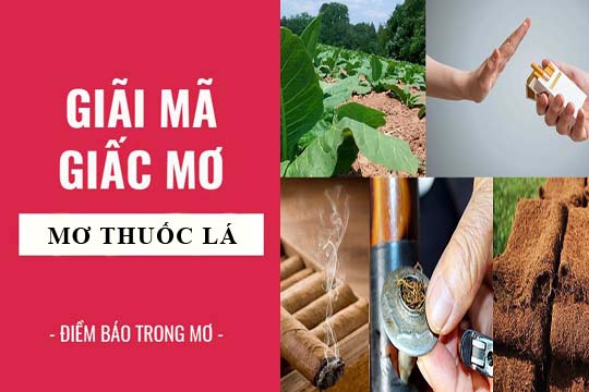 Giải m&atilde; giấc mơ thấy thuốc l&agrave;o