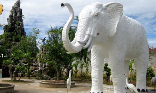 Giải m&atilde; giấc mơ thấy voi