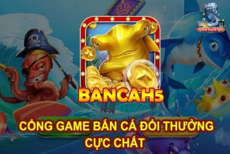 Săn c&aacute; cực chất tr&ecirc;n ứng dụng cổng game tải về điện thoại