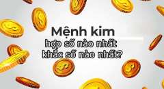 Mệnh Kim Hợp Số Nào - Cách Chọn Con Số Phù Hợp Với Bản Thân