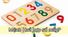 Mệnh Thổ Hợp Số Nào - Giải Mã Ý Nghĩa Các Con Số Hợp Mệnh Thổ